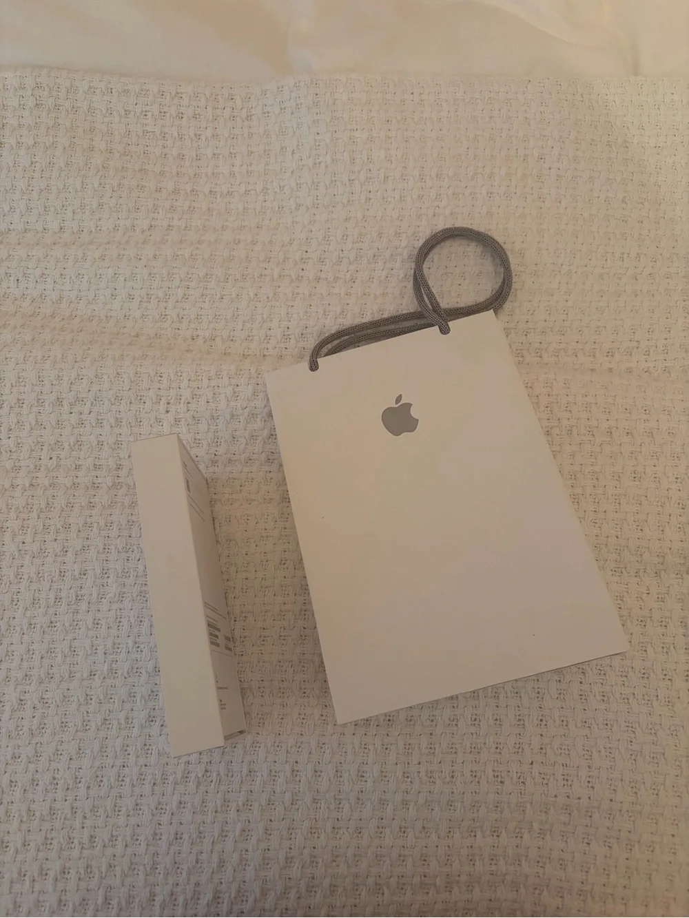 Apple iPhone (Box and Bag Only)
